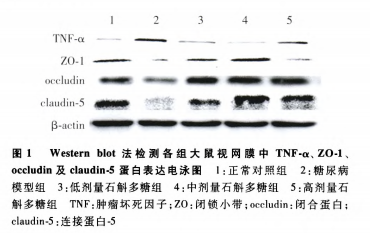 11fb7b6920e351269d64bd475811769.png 11fb7b6920e351269d64bd475811769.png